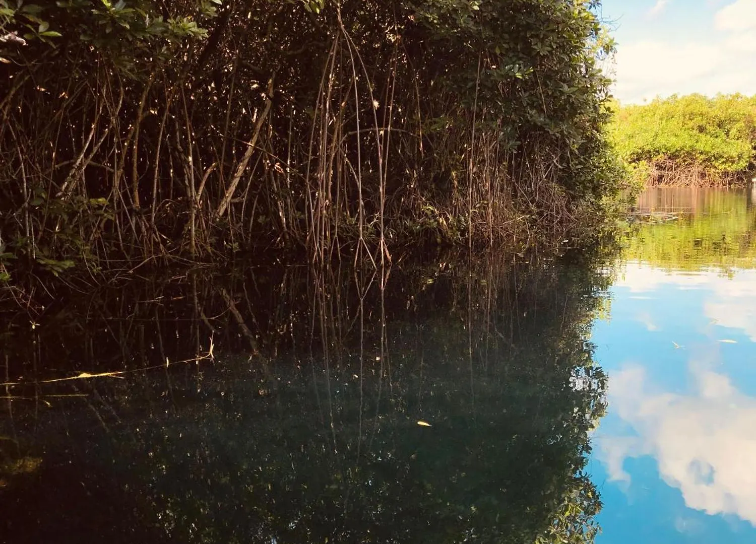 Cabanas Tulum - Aldea Mangle & Cenote 0*,  Mexico